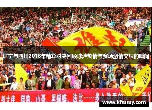 辽宁与四川2018年精彩对决回顾球迷热情与赛场激情交织的瞬间
